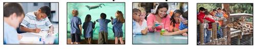 21st Century Summer Program
